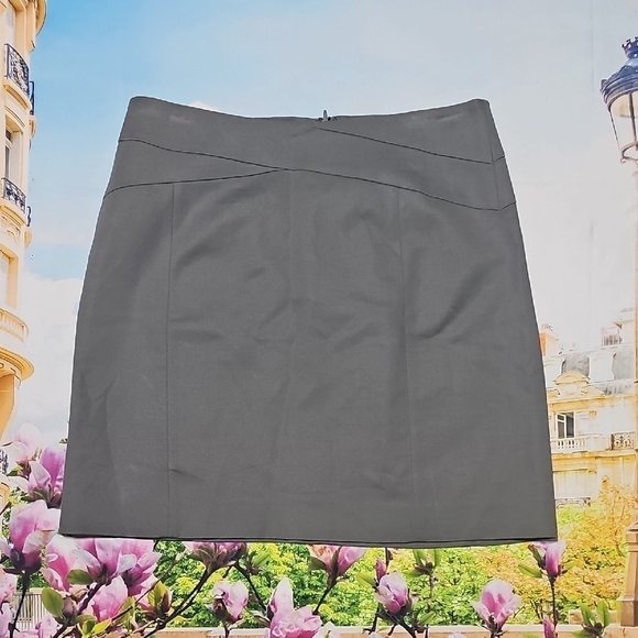 Banana Republic Elegant Gray Mini Skirt Size 10 NWT - Picture 1 of 5